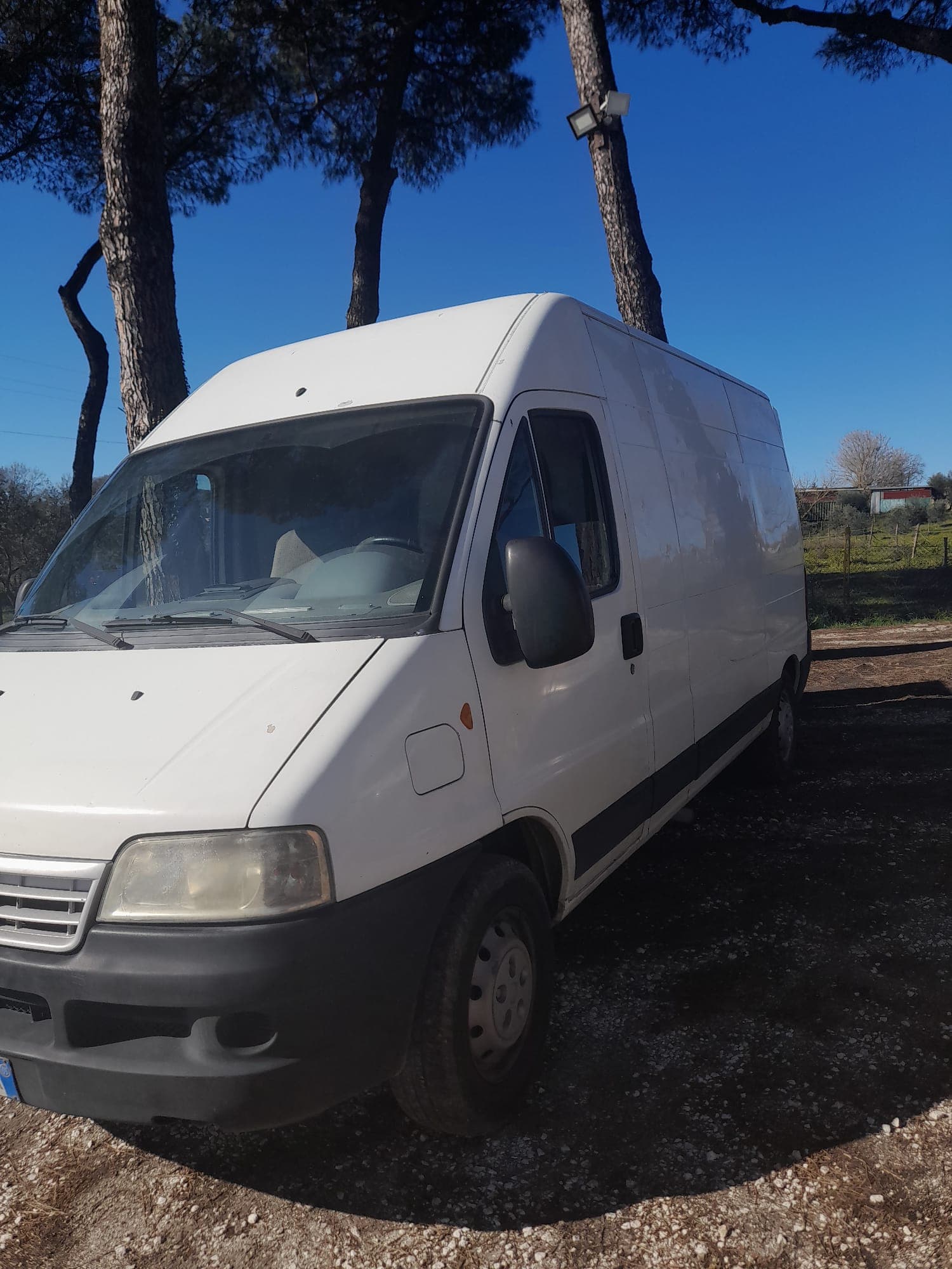 Furgone bianco parcheggiato su terreno sterrato con alti pini e cielo azzurro limpido.